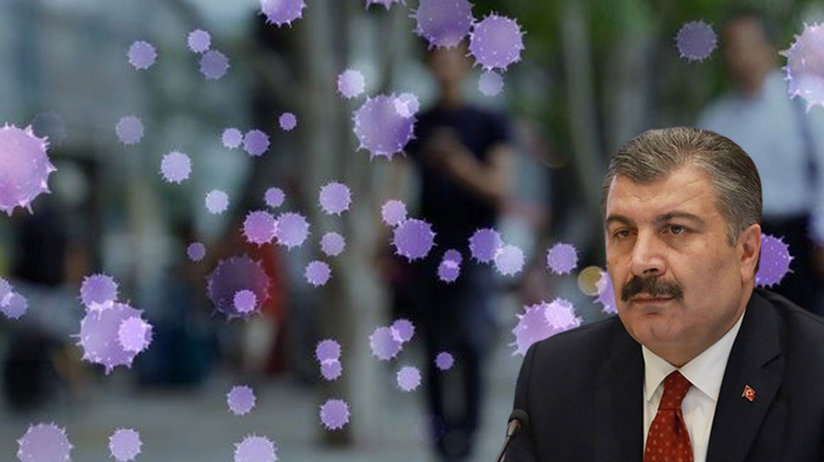 Bakan Koca'dan ilk maymun �i�e�i vakas� ile ilgili a��klama: Tecrit edildi