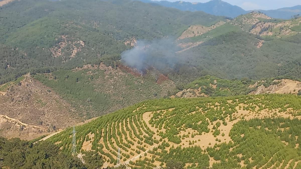 zmir'de aalandrma sahasndaki yangna mdahale ediliyor 