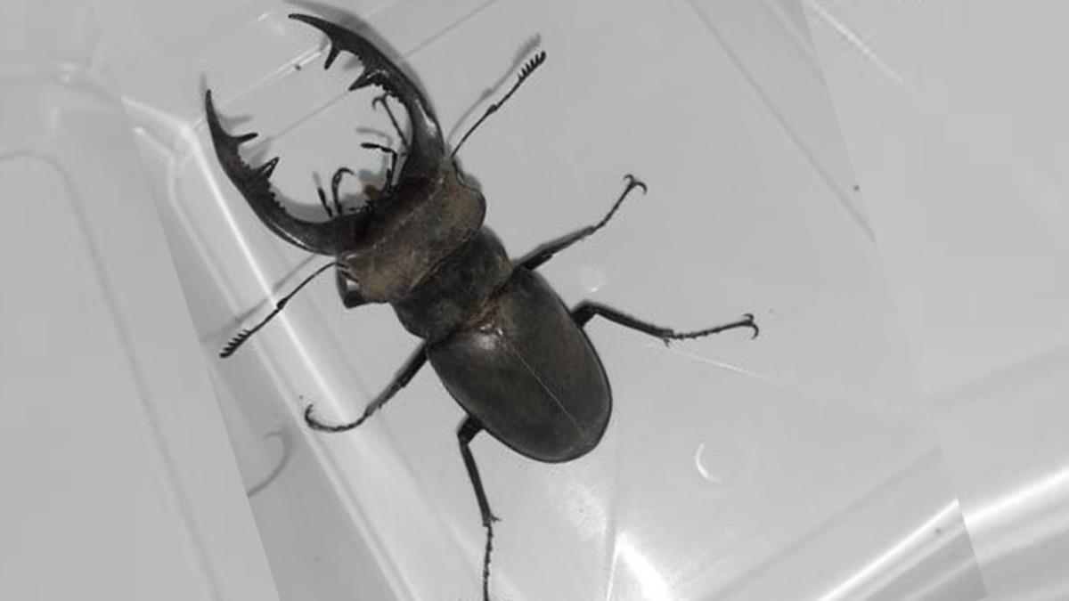 K�rm�z� listede! B�yle g�r�nt�lendi