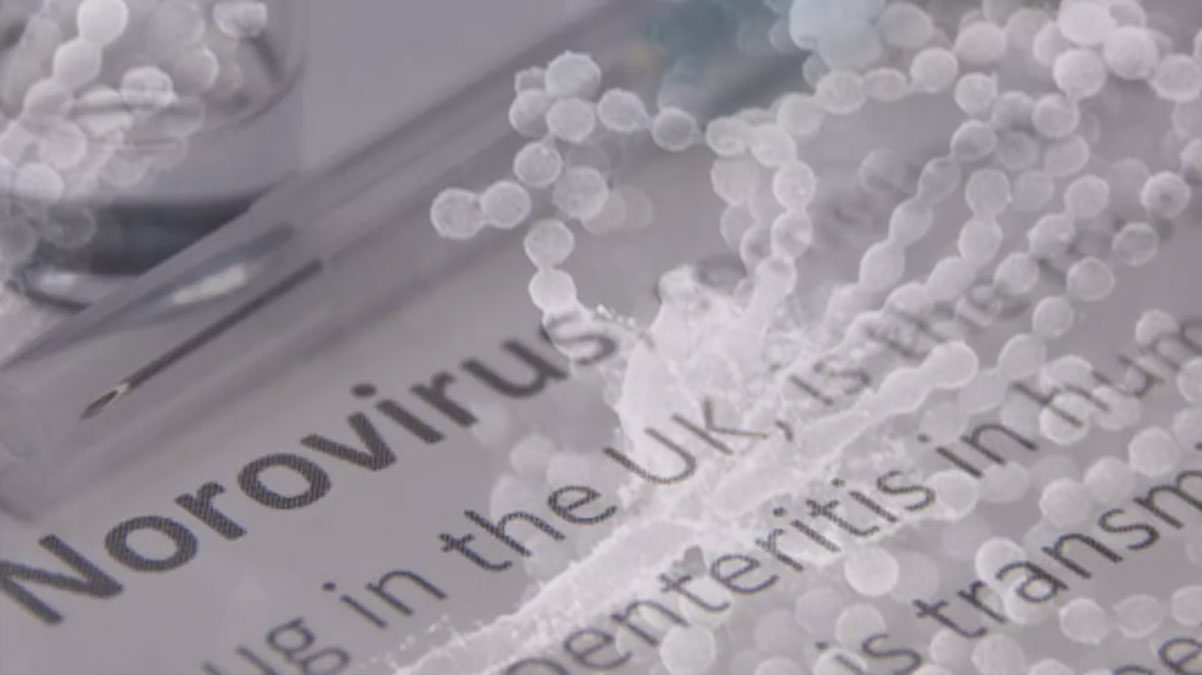 Tam bitti derken! Yeni salg�n alarm�: 4 hafta canl� kalabiliyor