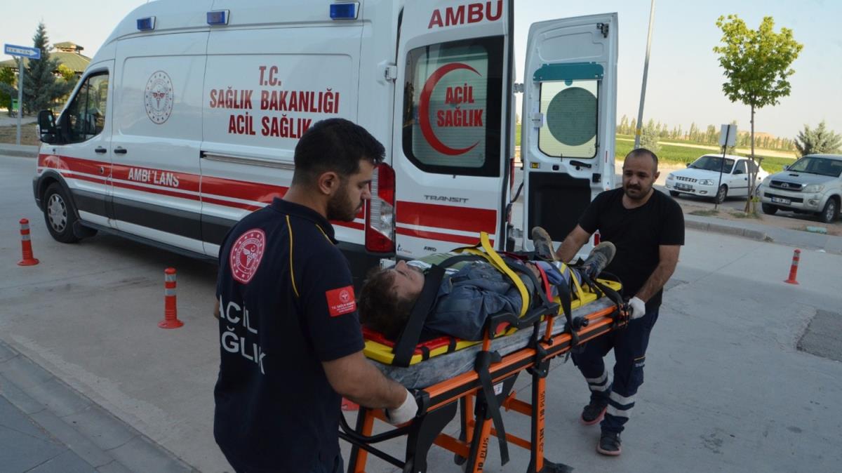 Dou Marmara ve Bat Karadeniz'de 741 ''acemi kasap'' hastanelik oldu
