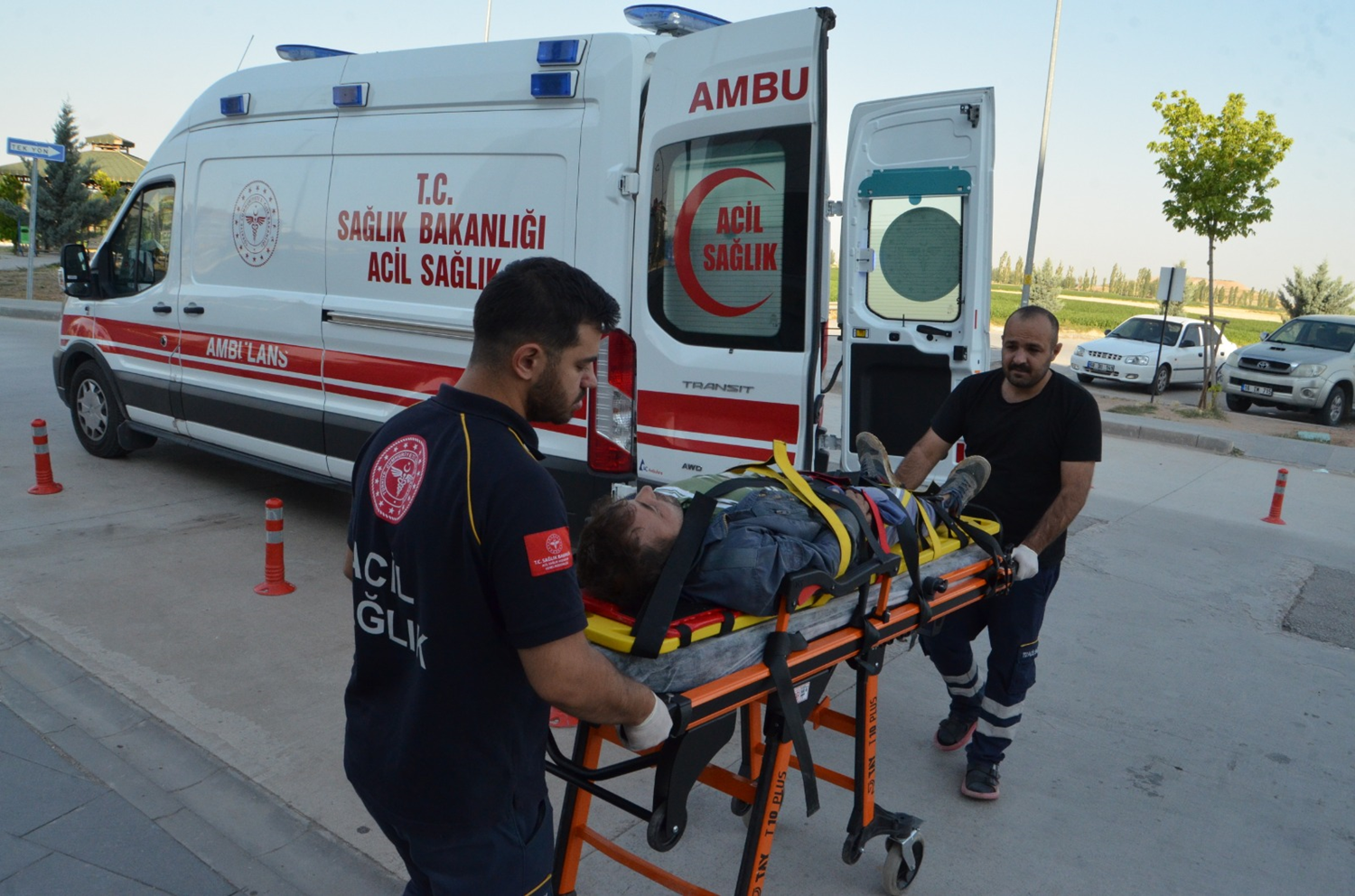 Dou Marmara ve Bat Karadeniz'de 741 'acemi kasap' hastanelik oldu