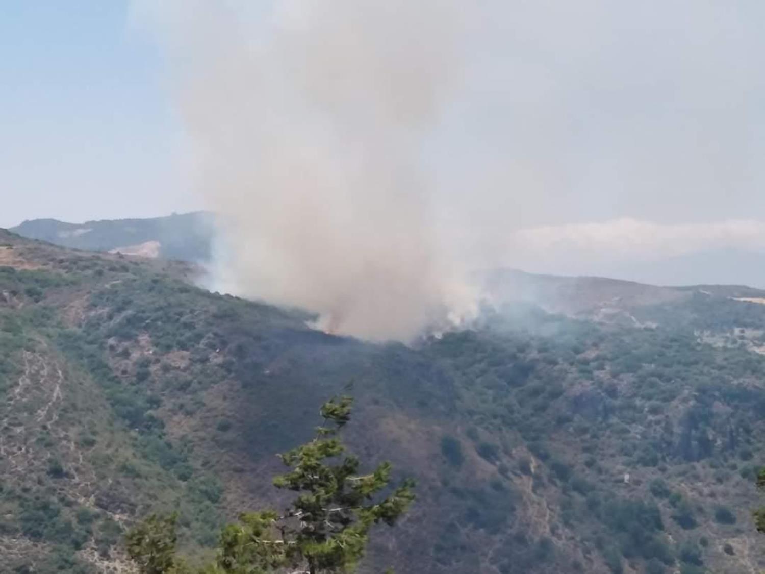 Antakya'da makilik alanda yang�n ��kt�