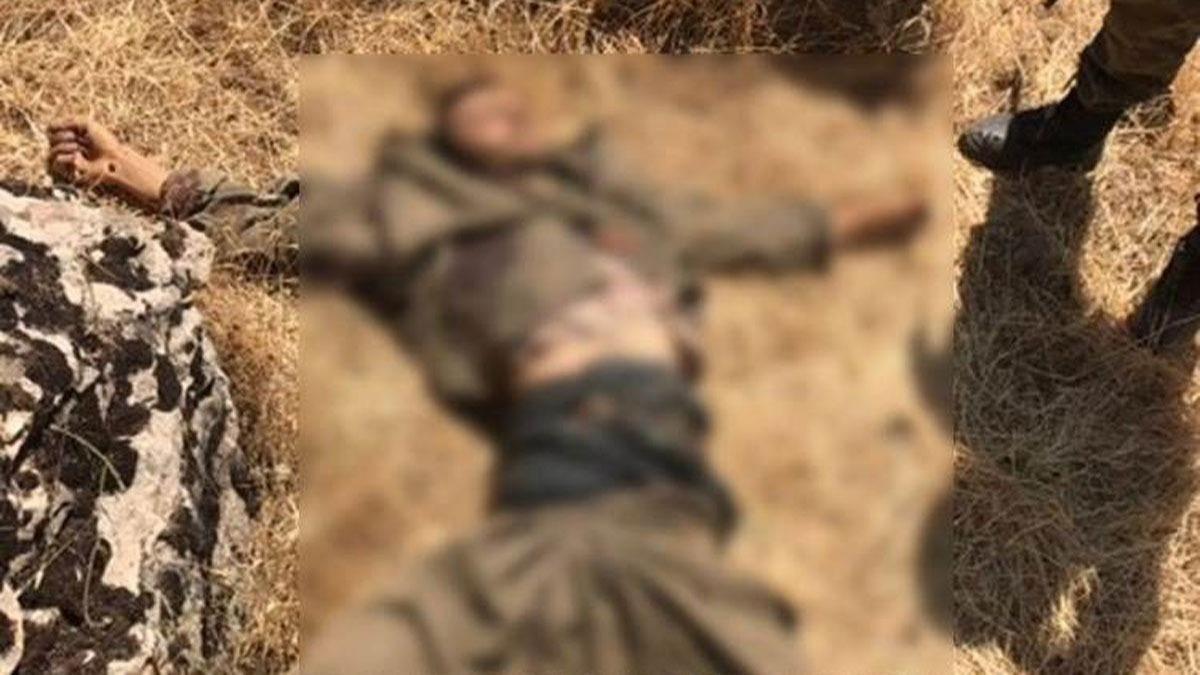 Bar Pnar blgesine taciz atei aan 2 PKK/YPG'li terrist etkisiz hale getirildi