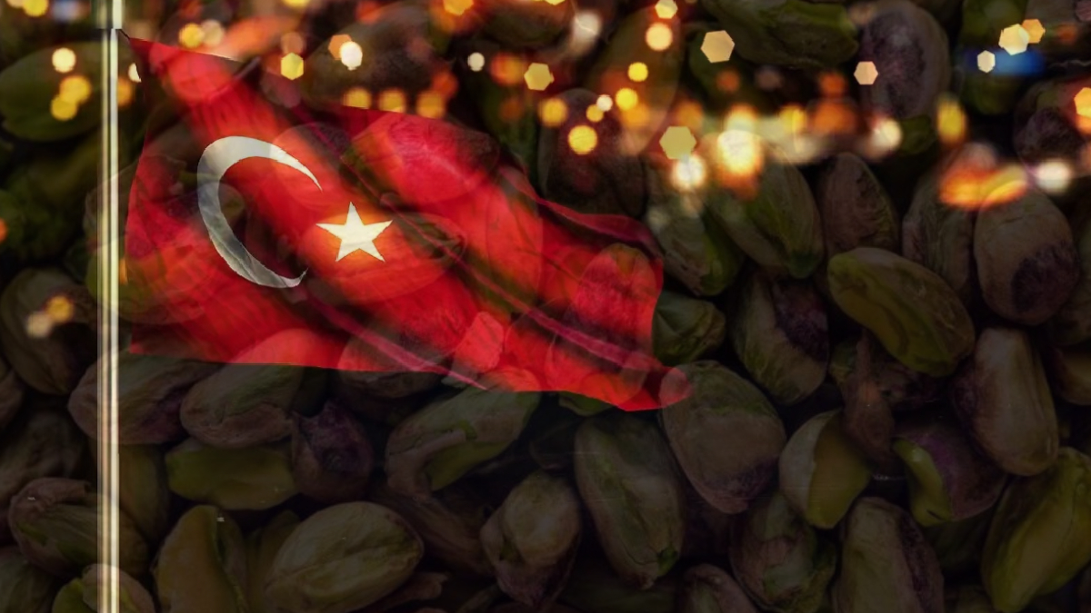 T�rkiye'den 'ye�il alt�n' hamlesi! �ki Avrupa �lkesiyle imzalar at�ld�