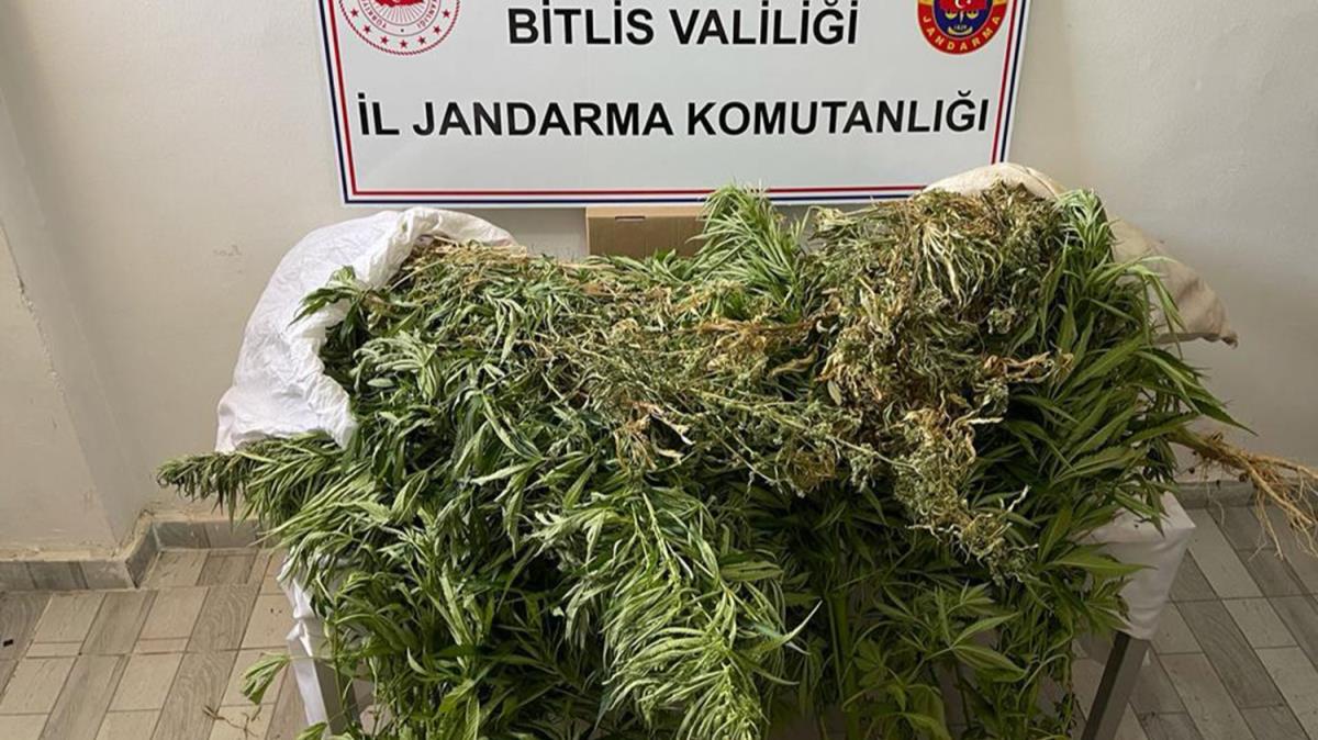 Bitlis'te 4 kilo 100 gram esrar ele geirildi 