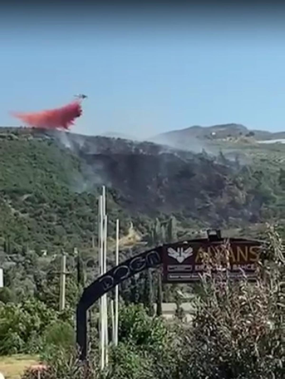 Ayd�n'daki yang�n�n bilan�osu belli oldu