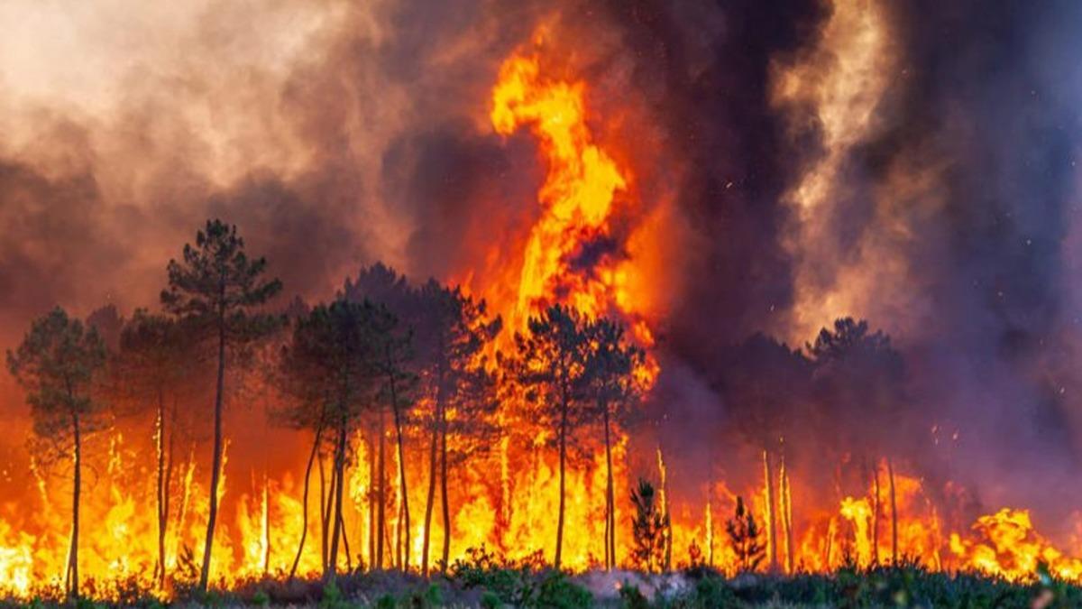 Fransa'da yangnlar nedeniyle 14 bin 900 kii daha tahliye edildi 