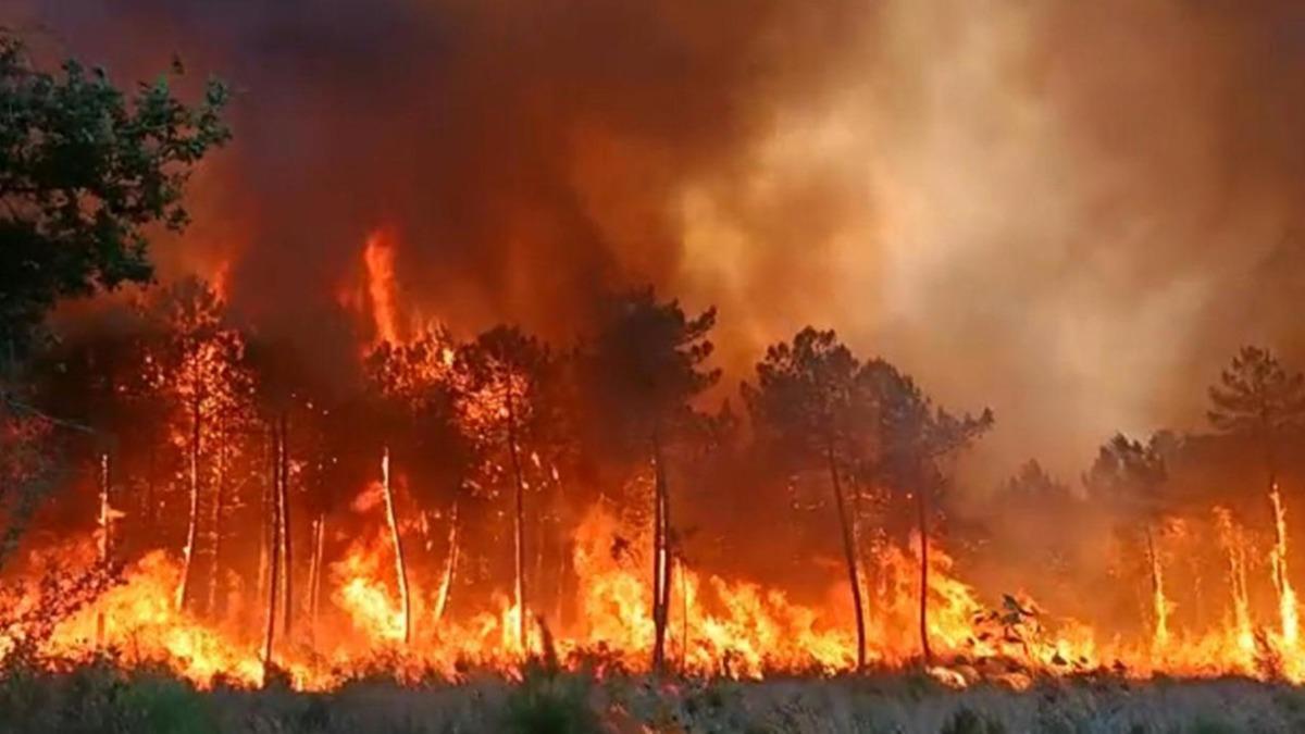Fransa'daki orman yangnlar sryor