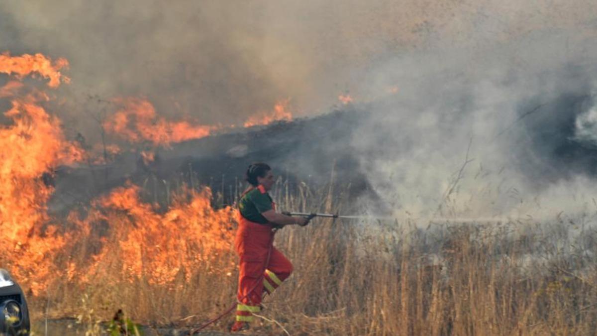talya'da birok noktada kan orman yangnlar hayat fel etti 