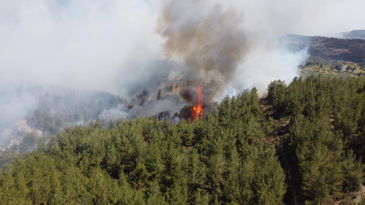Manisa'daki orman yangnyla ilgili 2 kiinin gzaltna alnd bildirildi