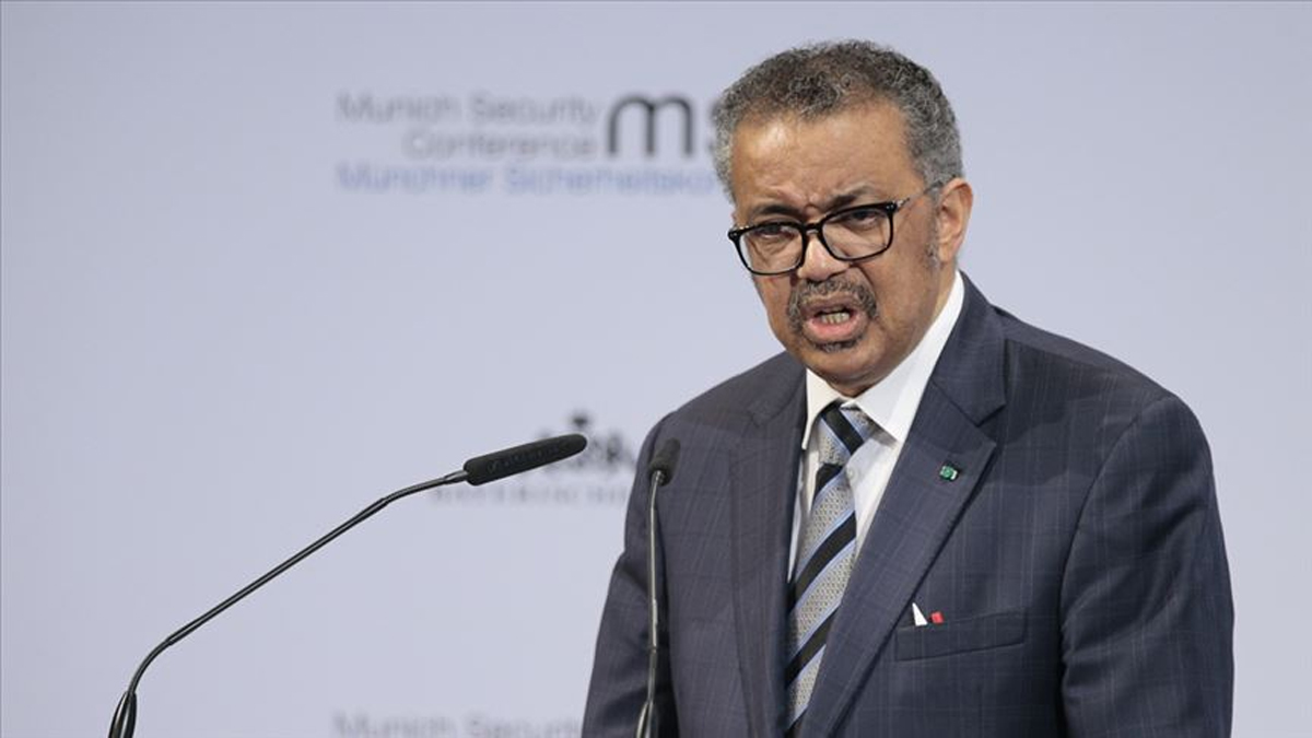DS�: Afrika �lkelerinden maymun �i�e�iyle ilgili gelen bilgiler yeterli de�il