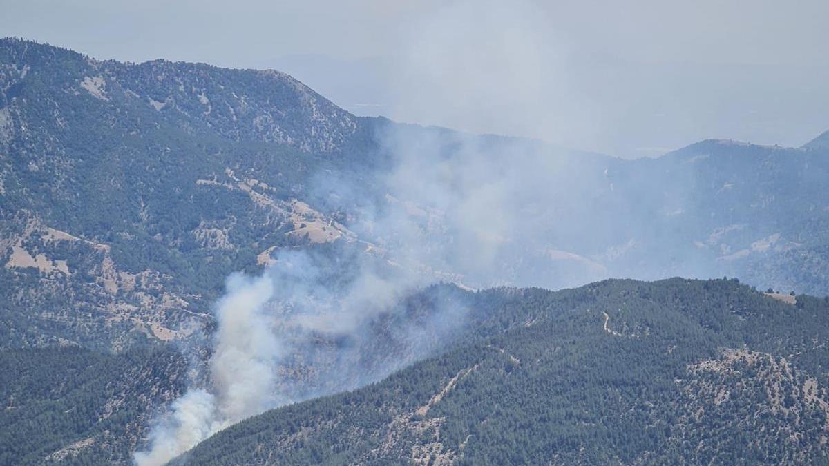 Adana'da orman yangn: Havadan ve karadan mdahale ediliyor