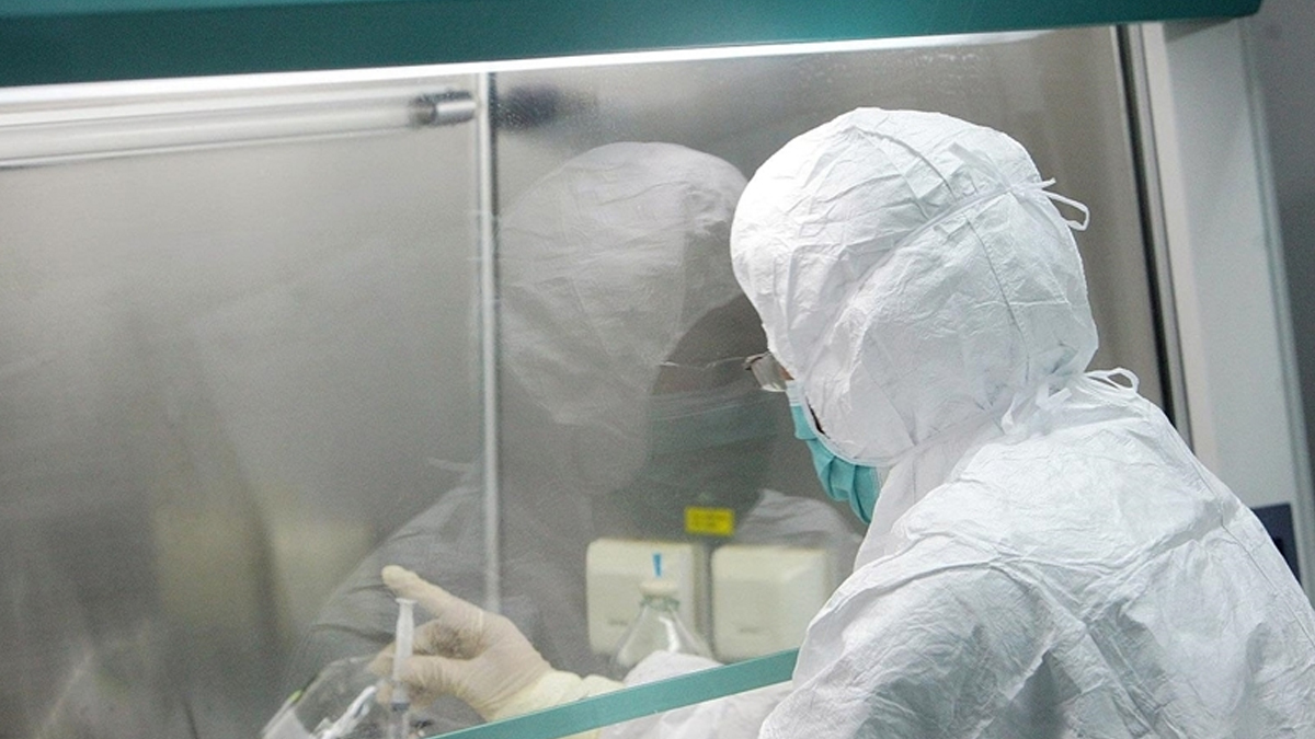 DS�'den maymun �i�e�i vakalar� hakk�nda a��klama