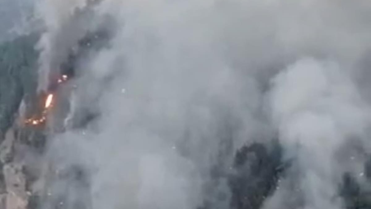 Mersin'deki orman yangn sndrlmeye allyor