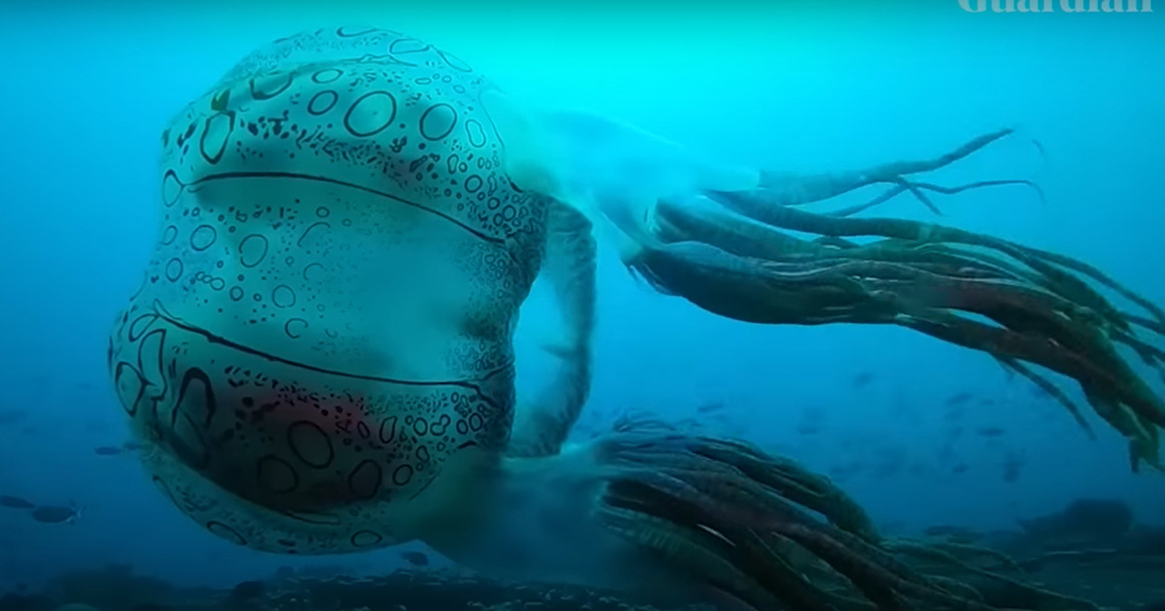 �lgin� yarat���n g�r�nt�leri �a��rtt�! Yetkililer an�nda arad�