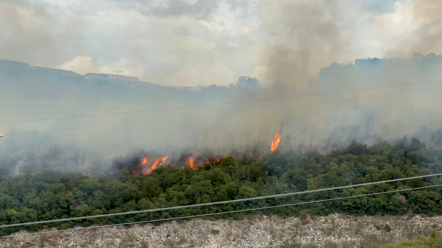 Kocaeli'de ormanl�k alanda yang�n