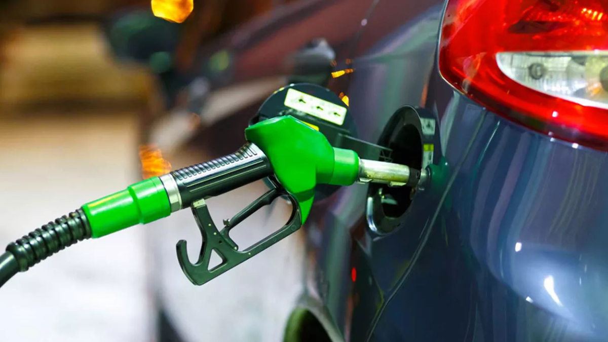 Bakan Nebati'den benzin ve motorin a��klamas�