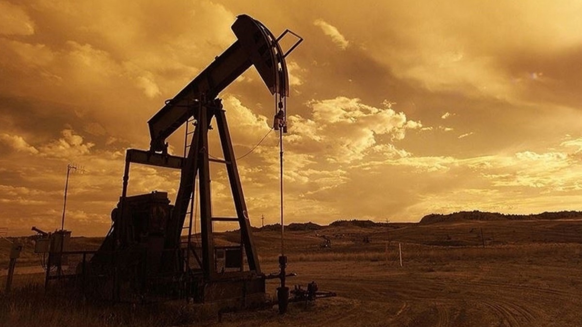 OPEC'ten petrol aklamas