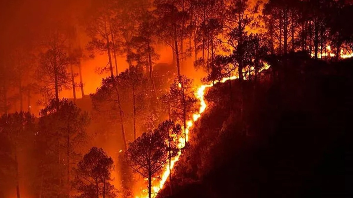 Avrupa'daki orman yangnlar en youn seviyeye ulat 
