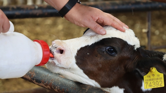 Devlet desteiyle kurdu! 15 kiiyi istihdam ediyor