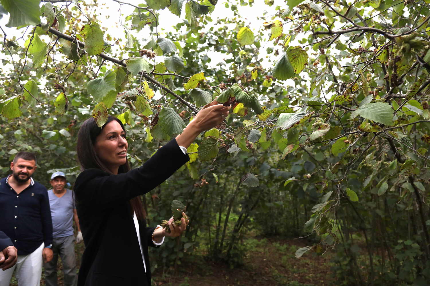 AK Partili Karaaslan, Samsun'da f�nd�k �reticileriyle bulu�tu