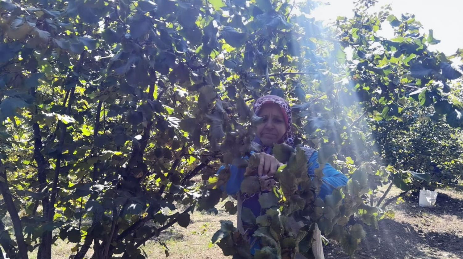 Hasad�na ba�land�! 66 milyonluk gelir bekleniyor