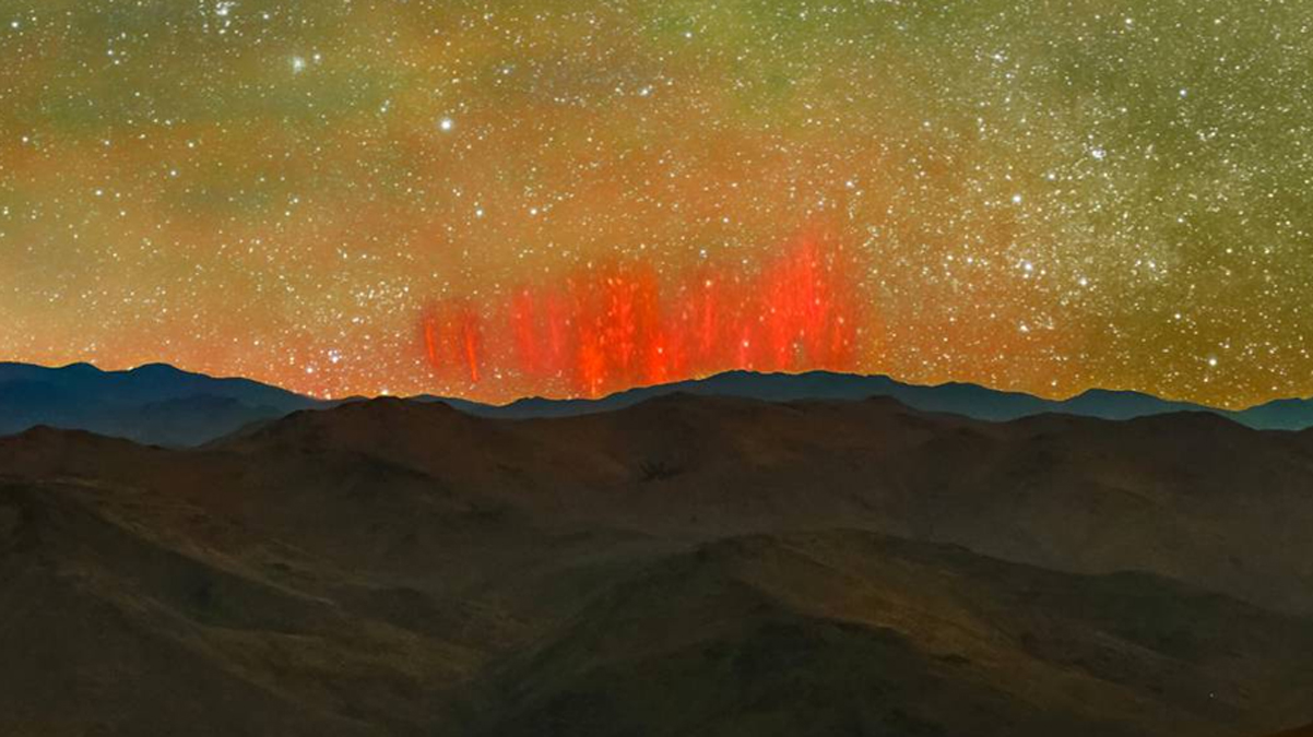 Nadir rastlan�yor! K�rm�z� periler �ili'de g�r�ld�