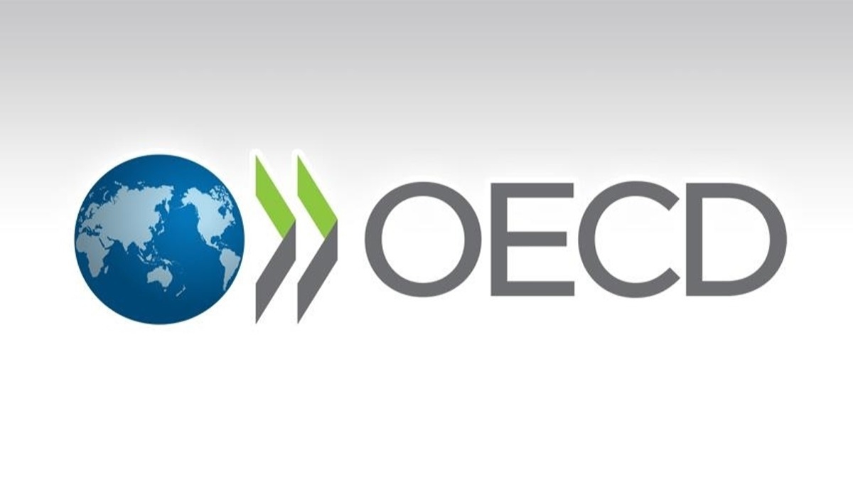 OECD: Gney Afrika ekonomisi verimsizlik sorununa zm retmeli 