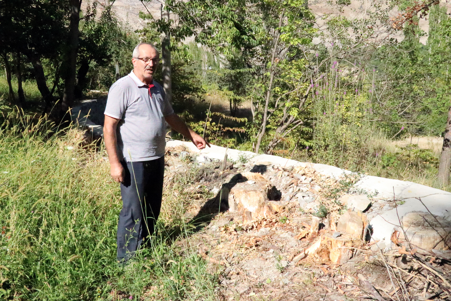 Enerji hatt� anla�mazl��� AYM'de ��z�ld�