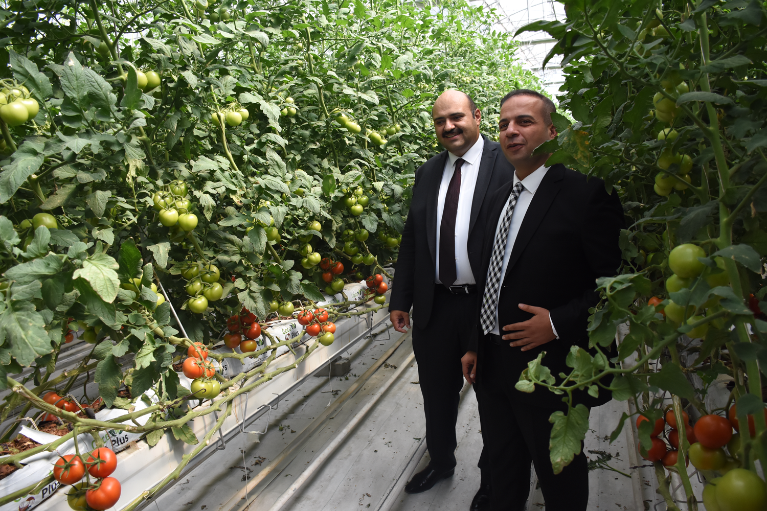 Jeotermal kaynakla �retilecek! Vatanda�a uygun fiyata sat��a sunulacak