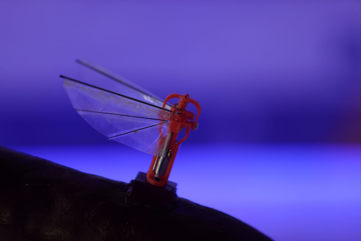 ASELSAN taraf�ndan �retildi! 'B�cek �HA' Teknofest'te kanatland�