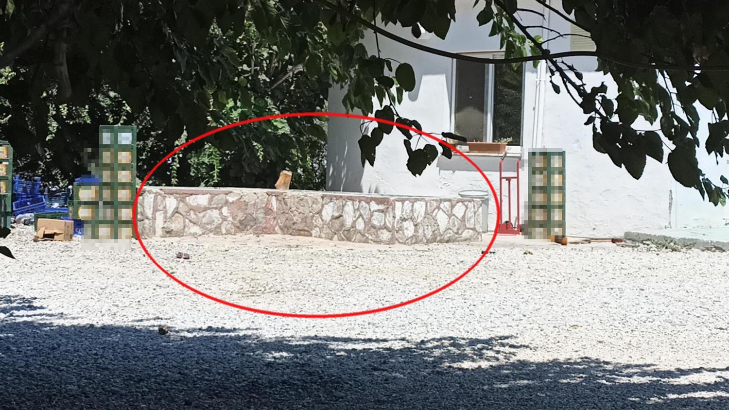 Zehra Bay�r cinayetine ���k tutacak kanl� deliller
