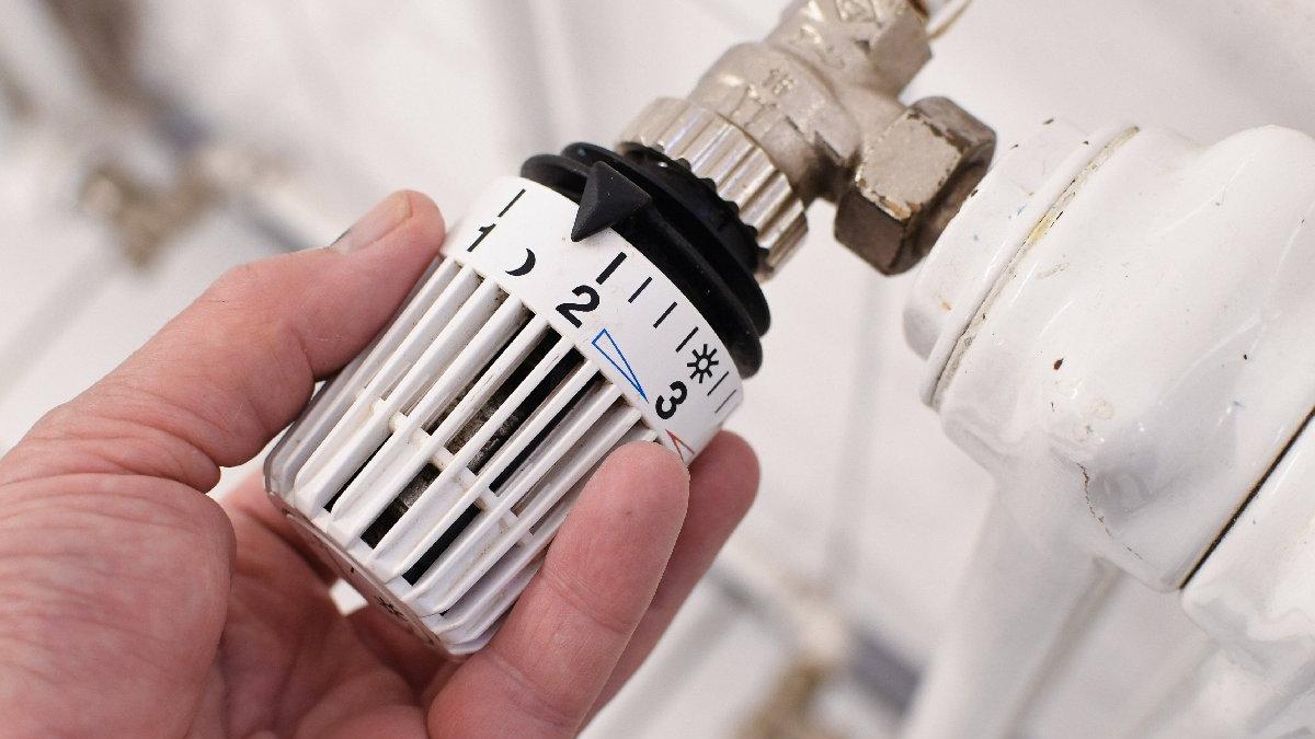 'Do�algaz T�ketim Deste�i' ba�vurular� ba�lad�