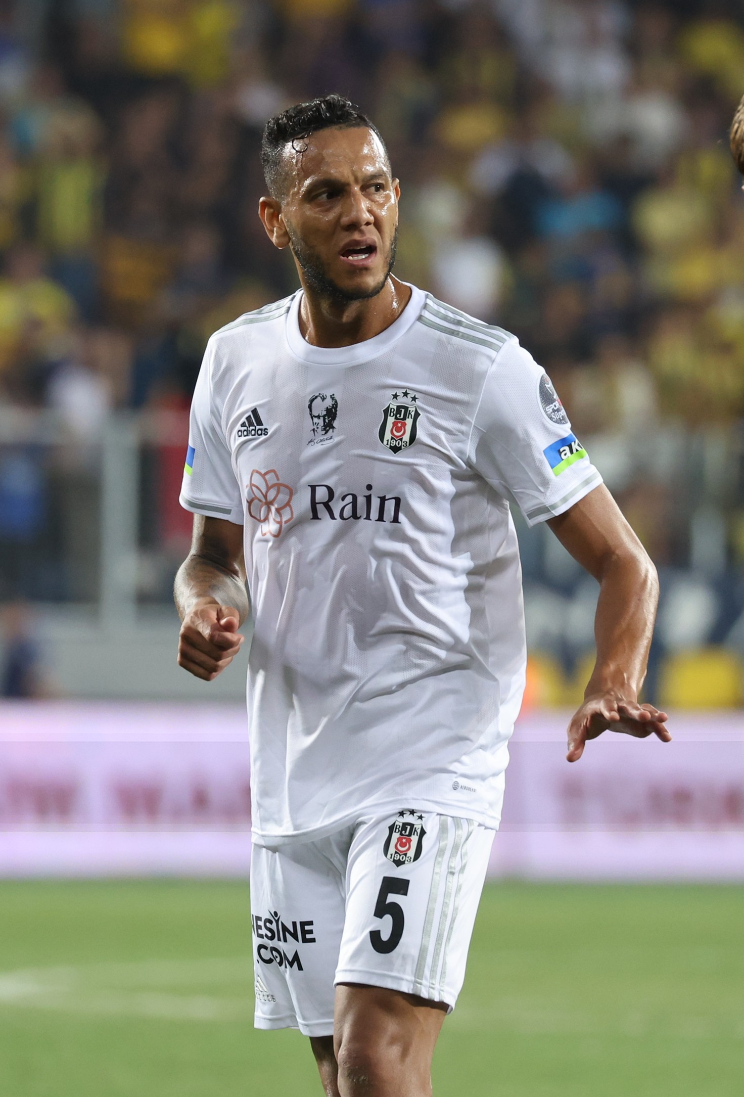 PFDK, Josef de Souza i�in karar�n� a��klad�