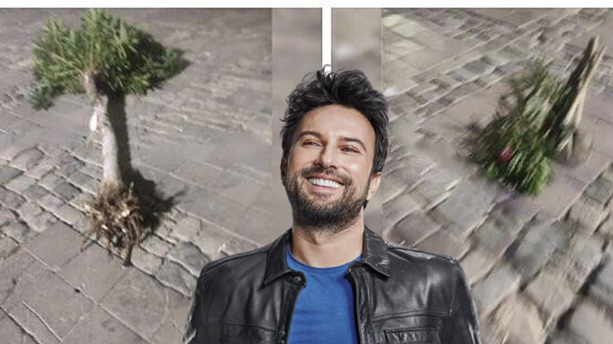 �zmir B�y�k�ehir Belediyesi Tarkan konserine yer a�mak i�in a�a�lar� k�k�nden s�kt�