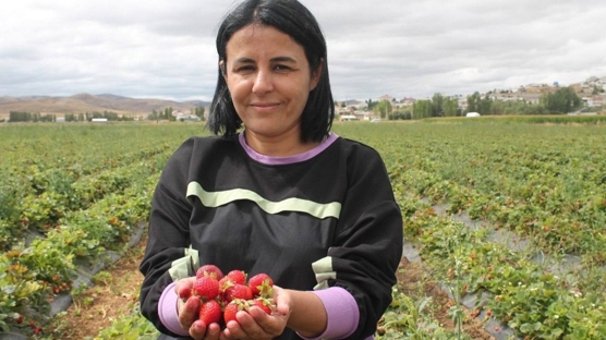 Memleketinde retime balad, siparilere yetiemiyor