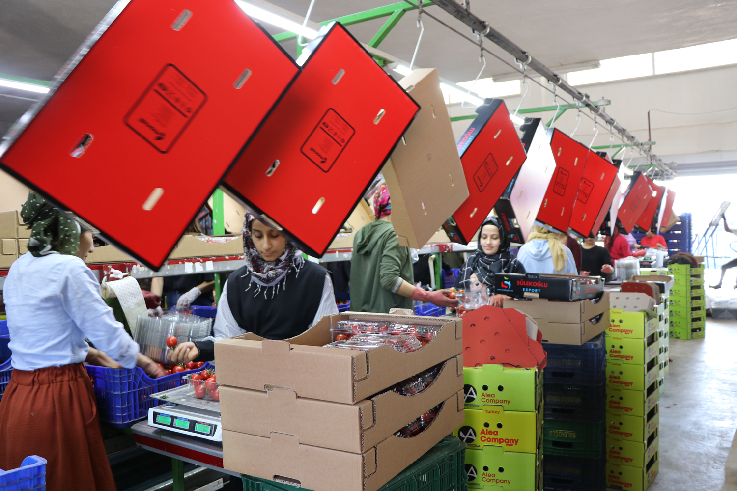 T�rkiye'de �retiliyor, d�nyadan talep ya��yor