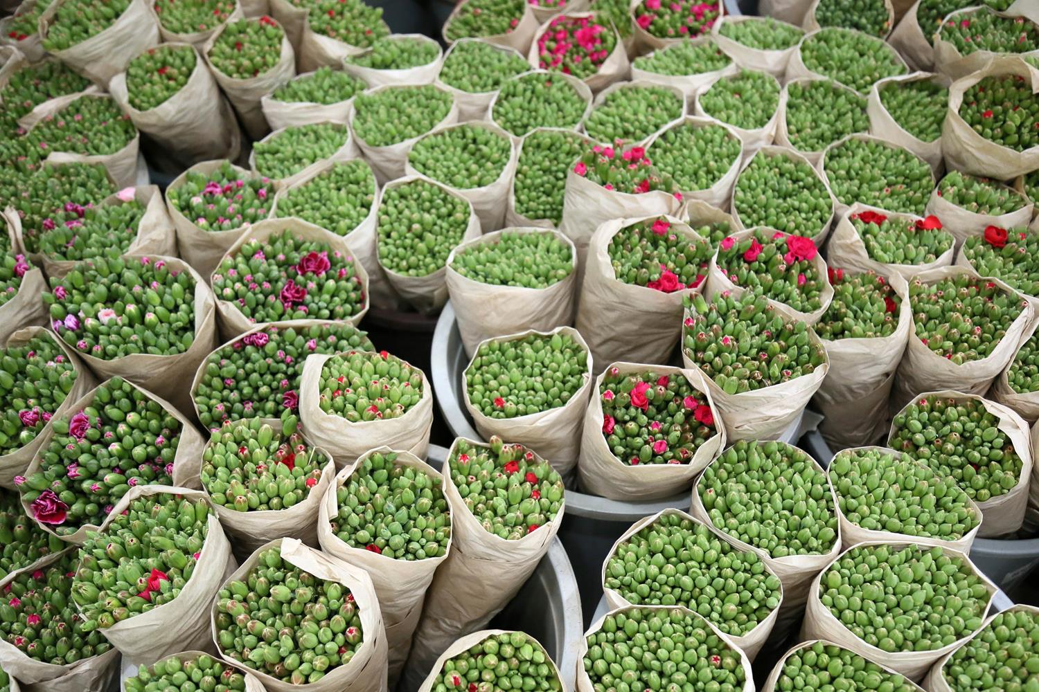 Krali�e Elizabeth'in cenazesi talebi art�rd�! T�rkiye'den u�akla g�nderiliyor