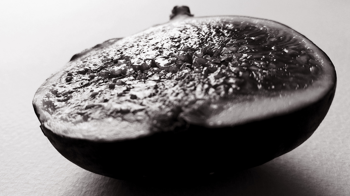 D�nyan�n en kalitelisi T�rkiye'de! 6 �lkeden heyet geldi