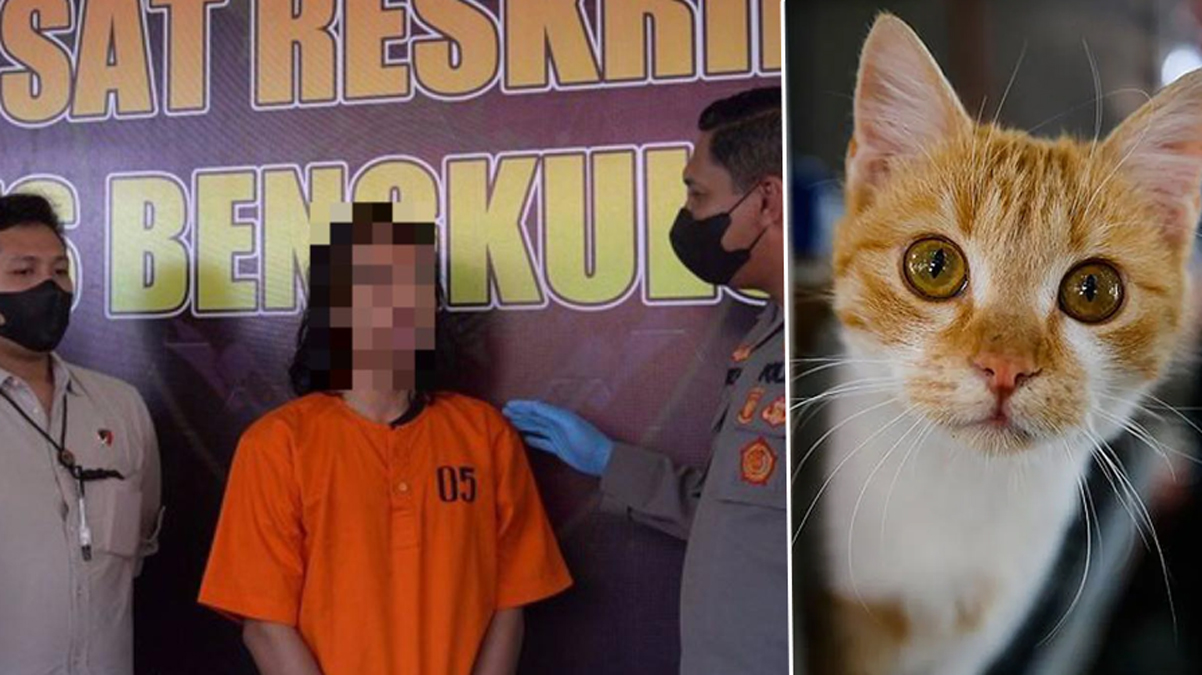 Mide buland�ran olay! Kedisini pi�irip yedi