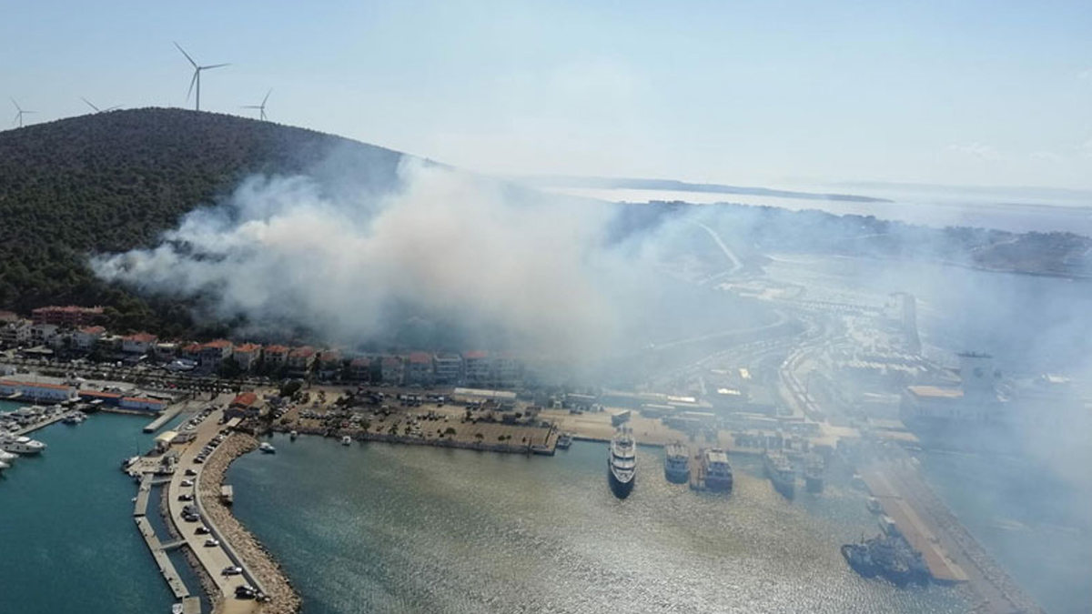 zmir'de orman yangn kontrol altna alnd