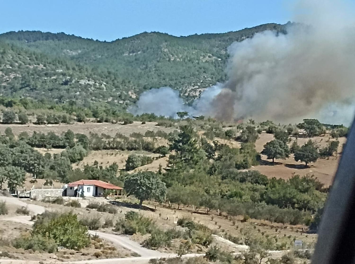 Bergama'da orman yang�n� kontrol alt�na al�nd�