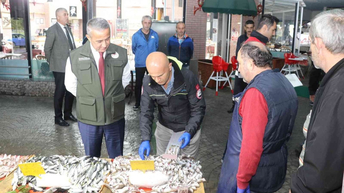 Samsun'da su rnleri denetimleri devam ediyor