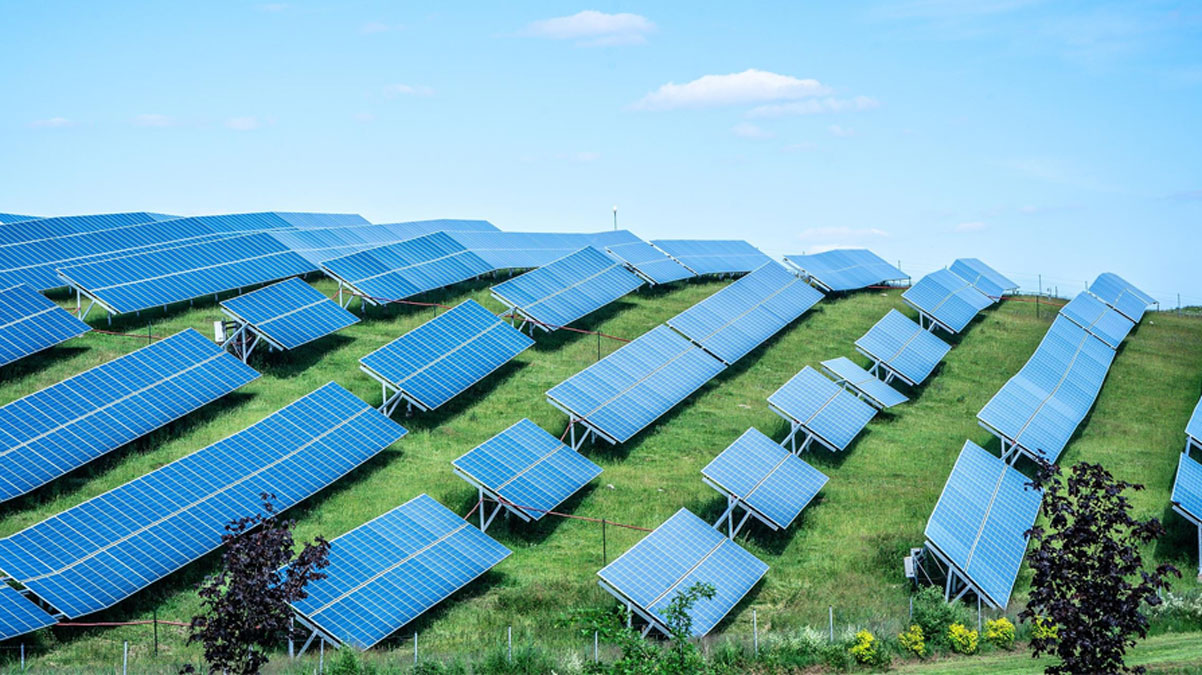 Y�zde 80 yerli! T�rk giri�imci tasarlad�: G�ne� ���nlar� gelece�in enerjisine d�n���yor