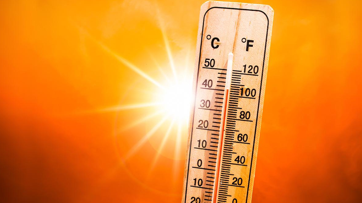 Havalar �s�n�yor! S�cakl�k 30 dereceyi ge�ecek