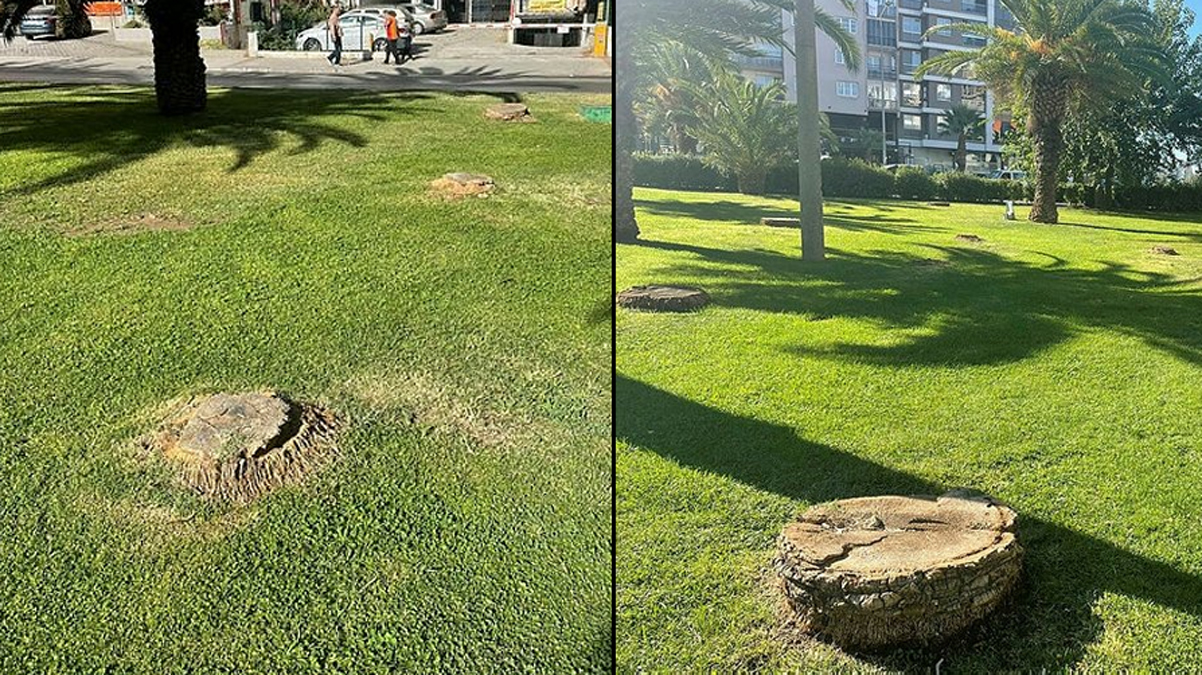 �zmir B�y�k�ehir Belediyesi'nden a�a� katliam�