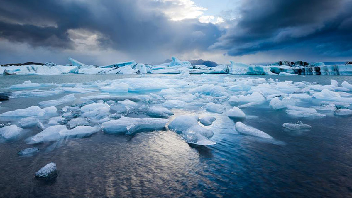 Aratrmalar bir gerei daha ortaya koydu: Arktik Okyanus'u daha asidik