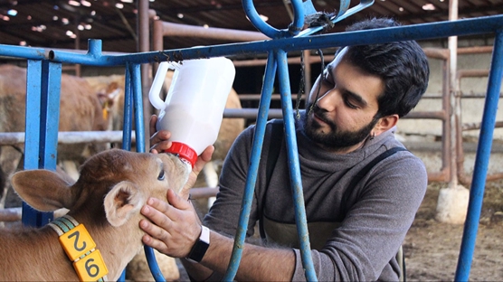 niversiteden mezun oldu kyne dnd, dededen kalma 60 yllk ahr modern testise dntrd