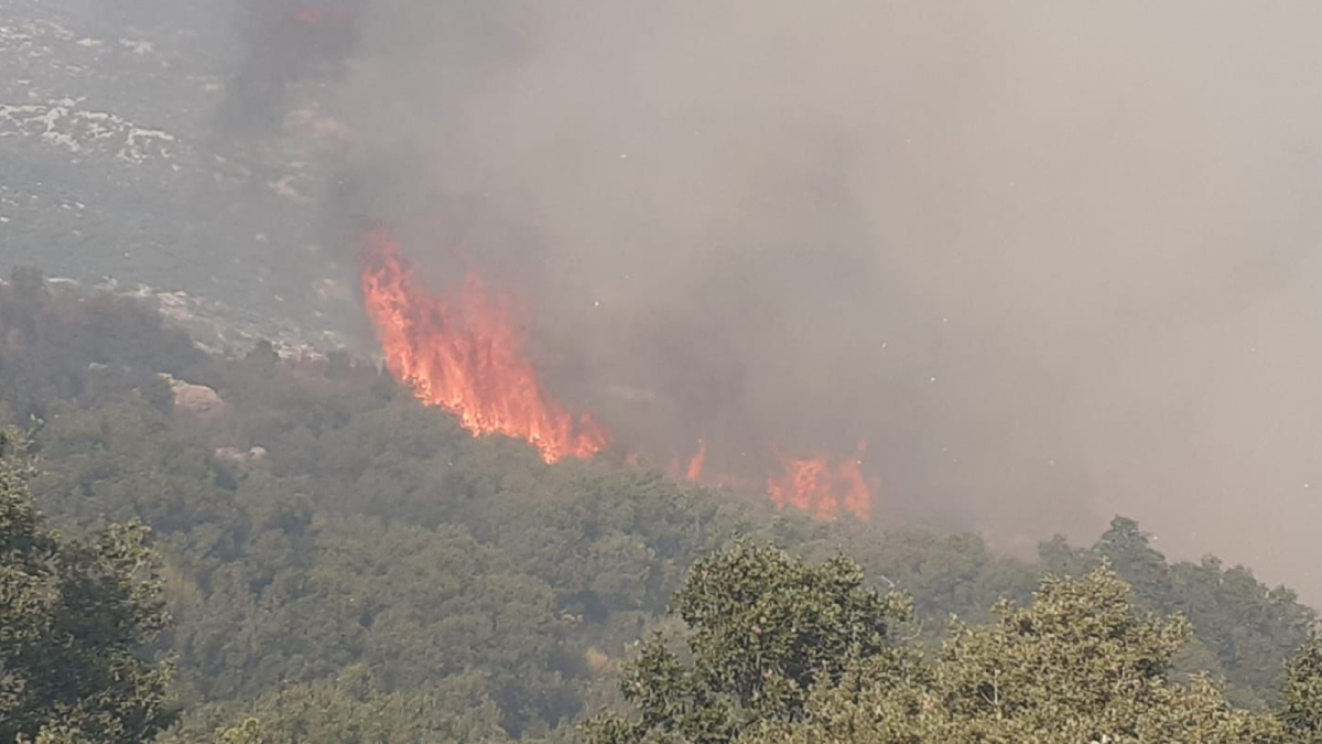 Antalya'da orman yang�n�: M�dahale ediliyor